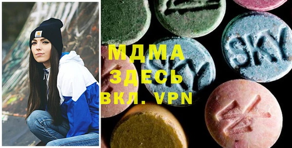 гашик Алексеевка