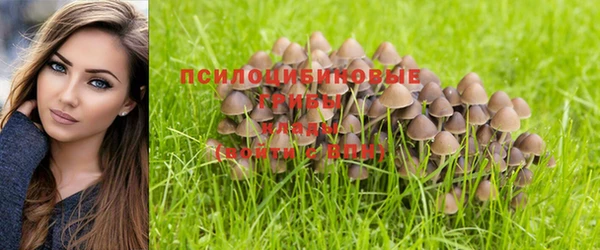 экстази Алзамай