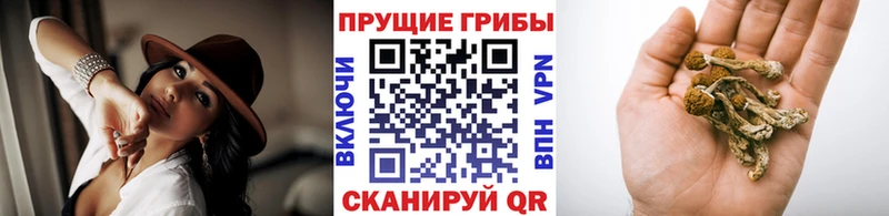 Галлюциногенные грибы MAGIC MUSHROOMS Яровое